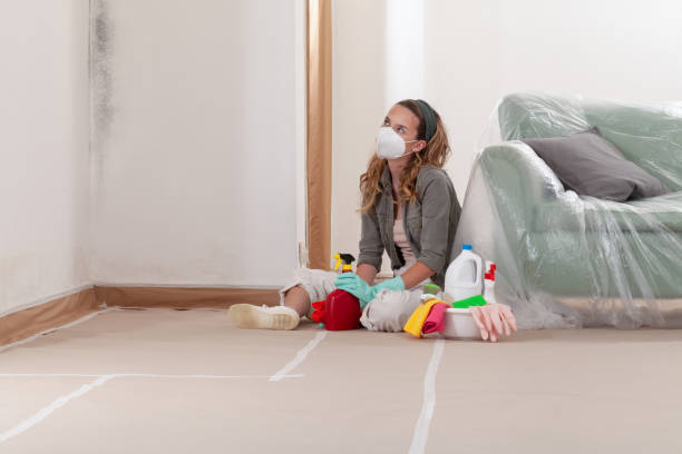 Reliable Black Mold Remediation contractor in Carrollton, TX by Car Mold Remediation